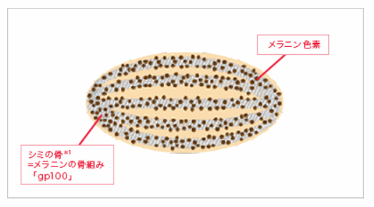 �A�X�^���t�g�z���C�g�����g���C�A���L�b�g